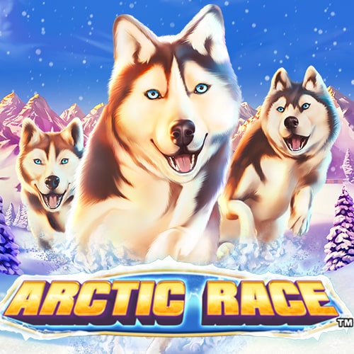 Arctic Race