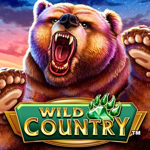 Wild Country